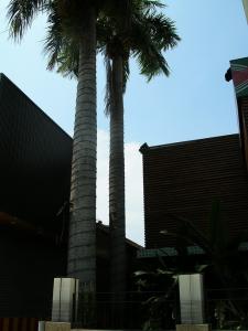 DSCN4815.jpg